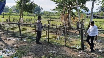 Cegah Judi Kembali Beroperasi, Arena Sabung Ayam Salupao Dibongkar Polisi