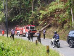 Kebakaran Lahan di Jalur Palopo-Toraja, Api Sempat Muncul Lagi Pagi Hari