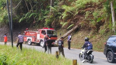 Kebakaran Lahan di Jalur Palopo-Toraja, Api Sempat Muncul Lagi Pagi Hari