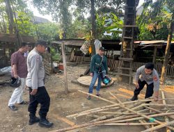 Warga Resah, Arena Sabung Ayam di Dua Lokasi Palopo Dibubarkan Polisi