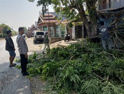 Pemangkasan Pohon di Lagaligo Dikawal Polisi, Pengendara Diimbau Hati-Hati